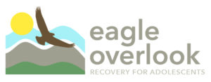 https://www.eagleoverlookrecovery.com/